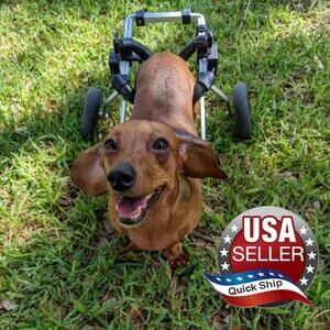 K9 Carts Doxie Dachshund Rear Support Wheelchair •X-Small • Cost: $269 •SAVE 52%